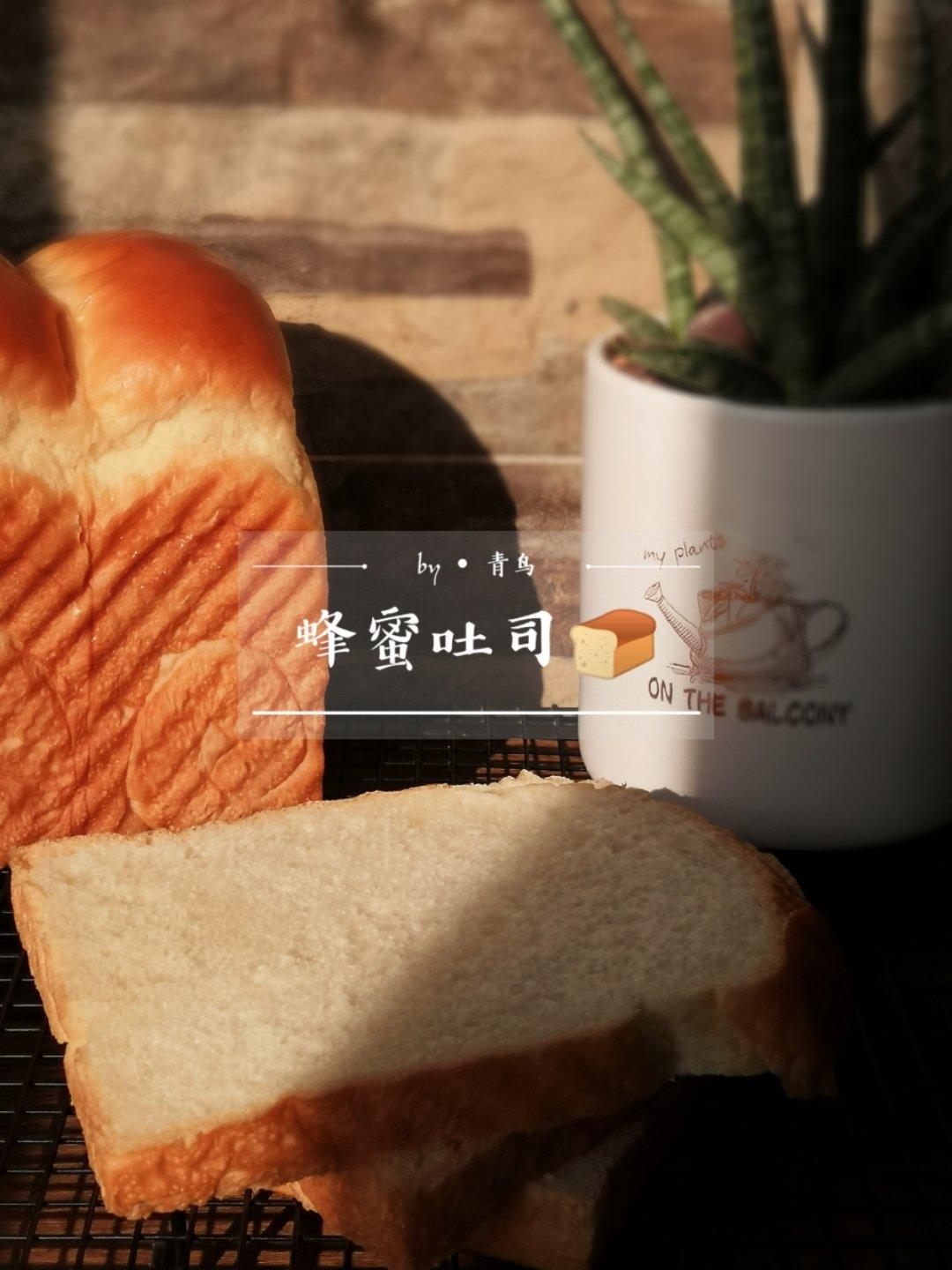 喵的面包吐司🍞糕糕🍰