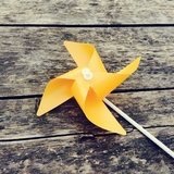 青老爷