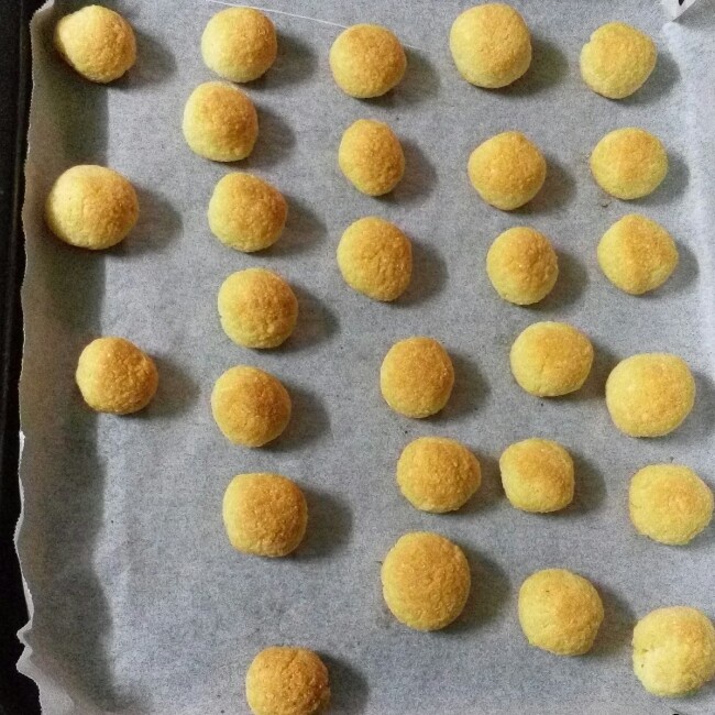蛋白椰丝球