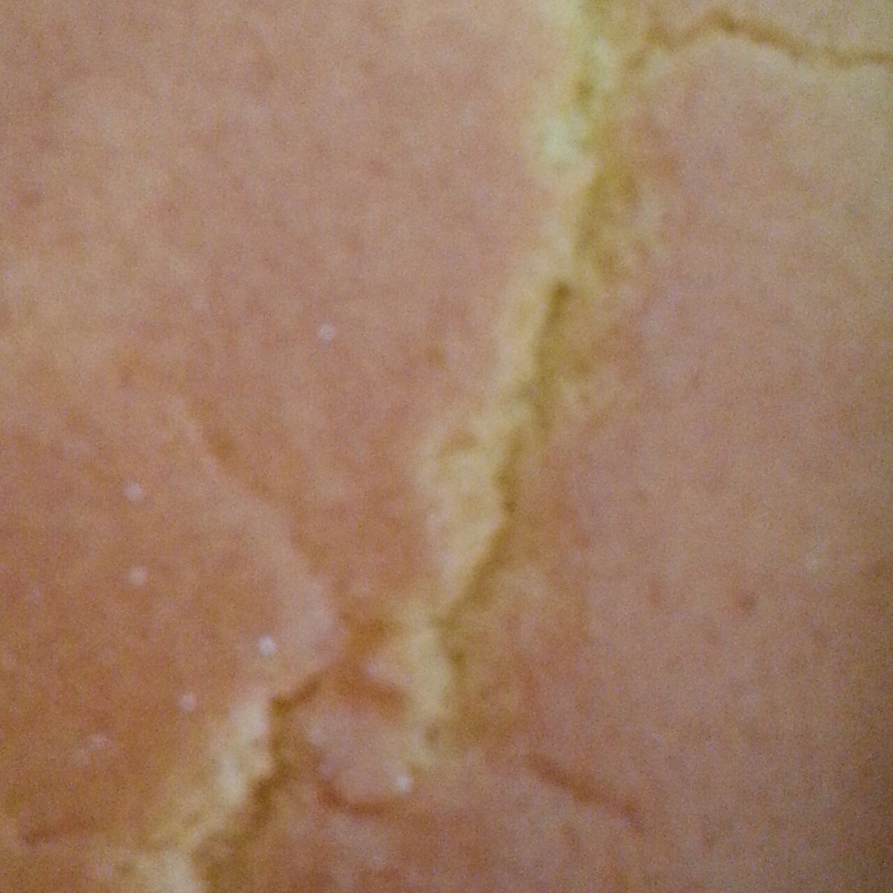 烤箱做蛋糕（戚风蛋糕的做法）