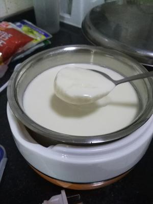 用奶粉做酸奶的做法 步骤6