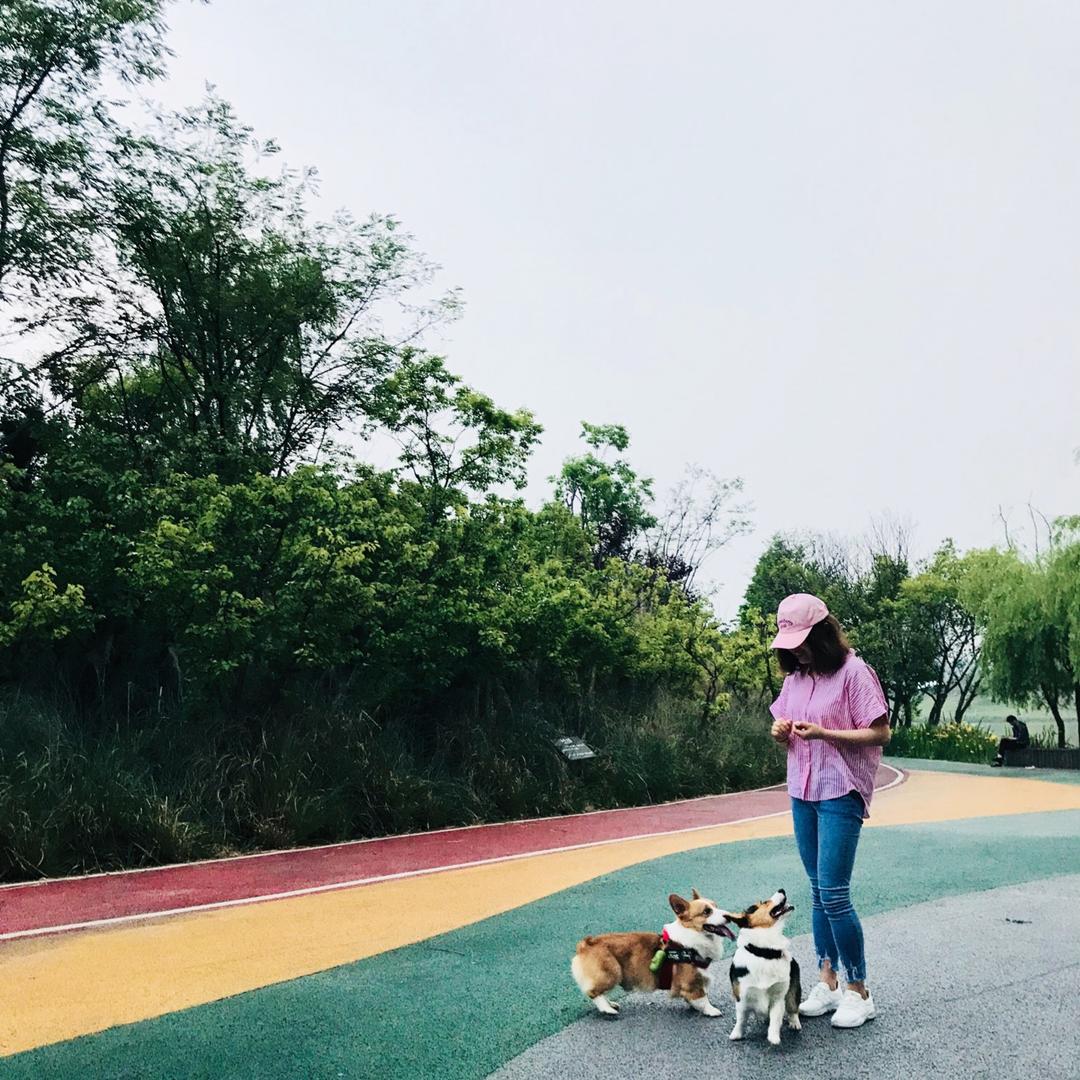 塔米是我的乖宝贝