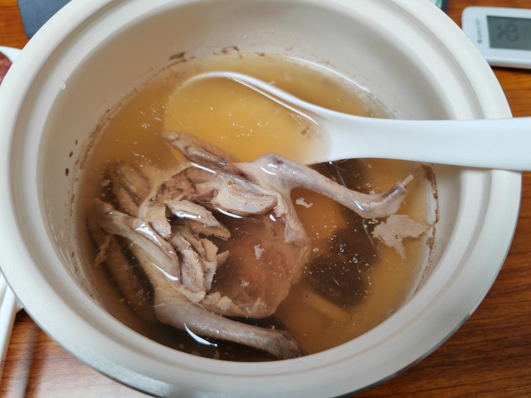 零失败养生鸽子汤