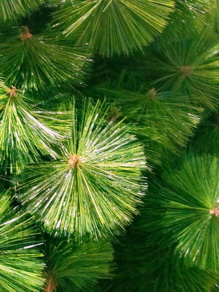 爱吃甜品的欣语