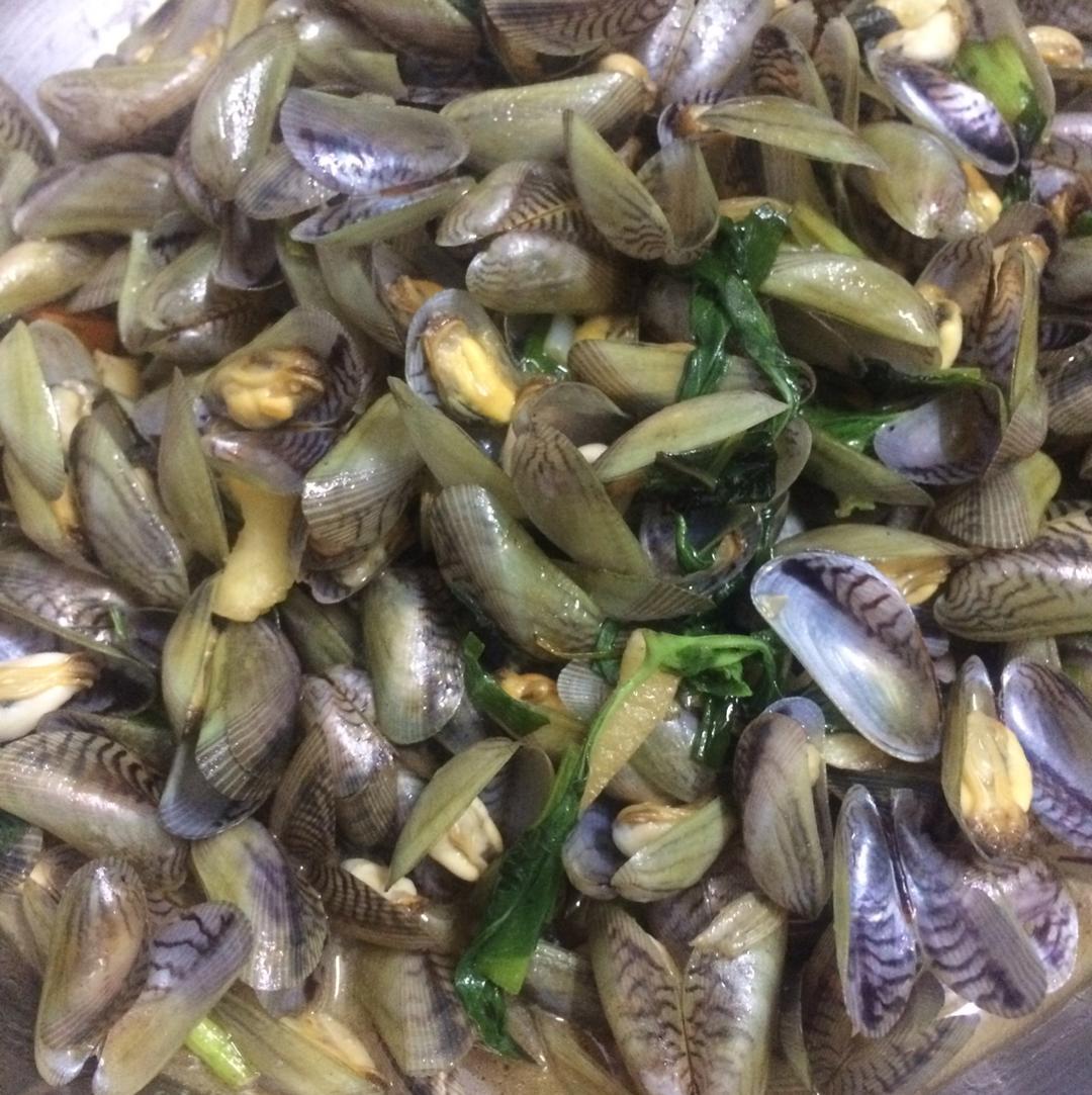 潮汕薄壳的全部作品