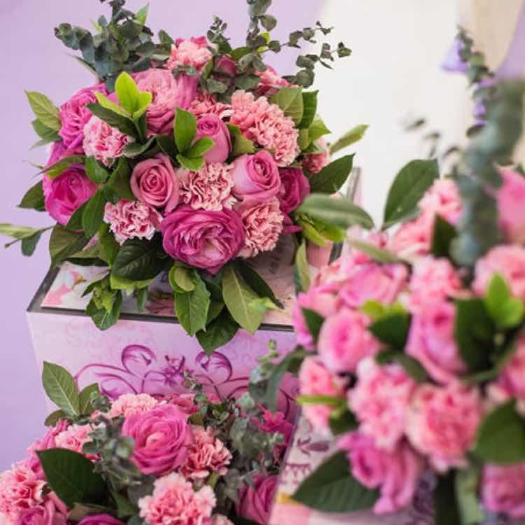 爱是青菜的人间烟火鲜花的宇宙浪漫