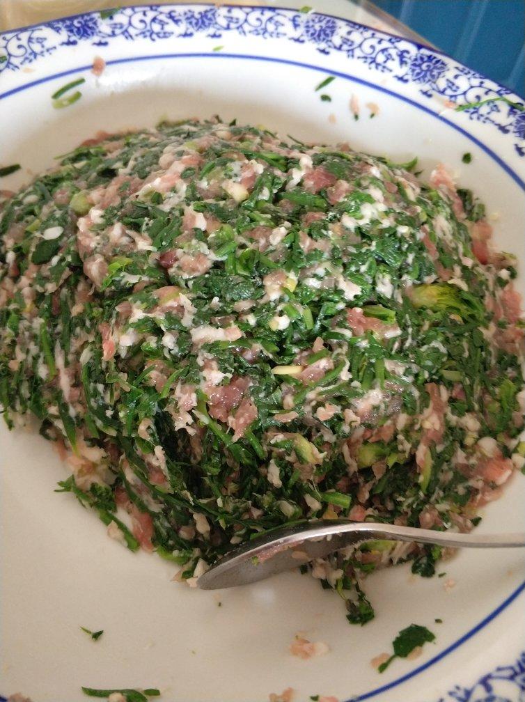 荠菜鲜肉饺子
