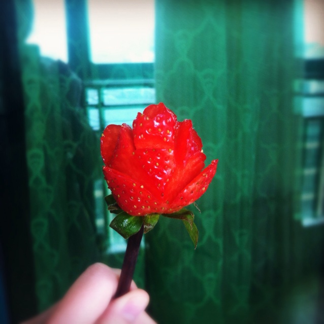 草莓玫瑰花