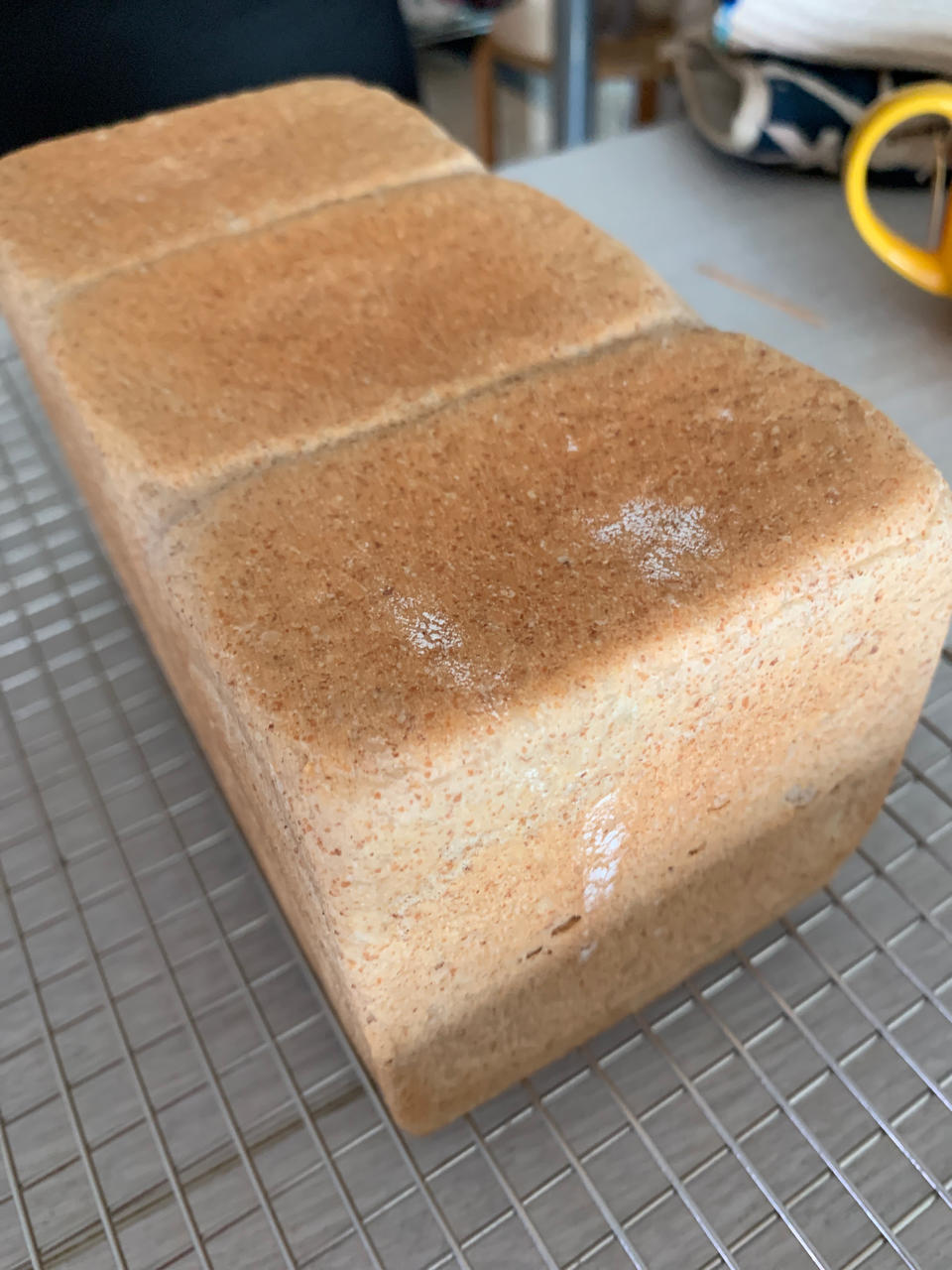 50%全麦斯皮尔特吐司+10%胚芽/三明治吐司/中种法/低糖低油面包系列(5)