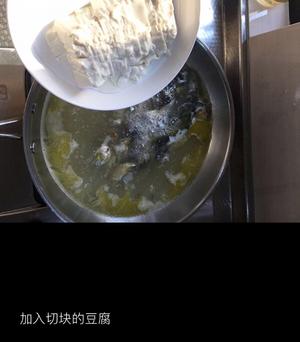 昂刺鱼豆腐汤的做法 步骤4