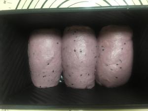 紫薯黑芝麻吐司的做法 步骤4