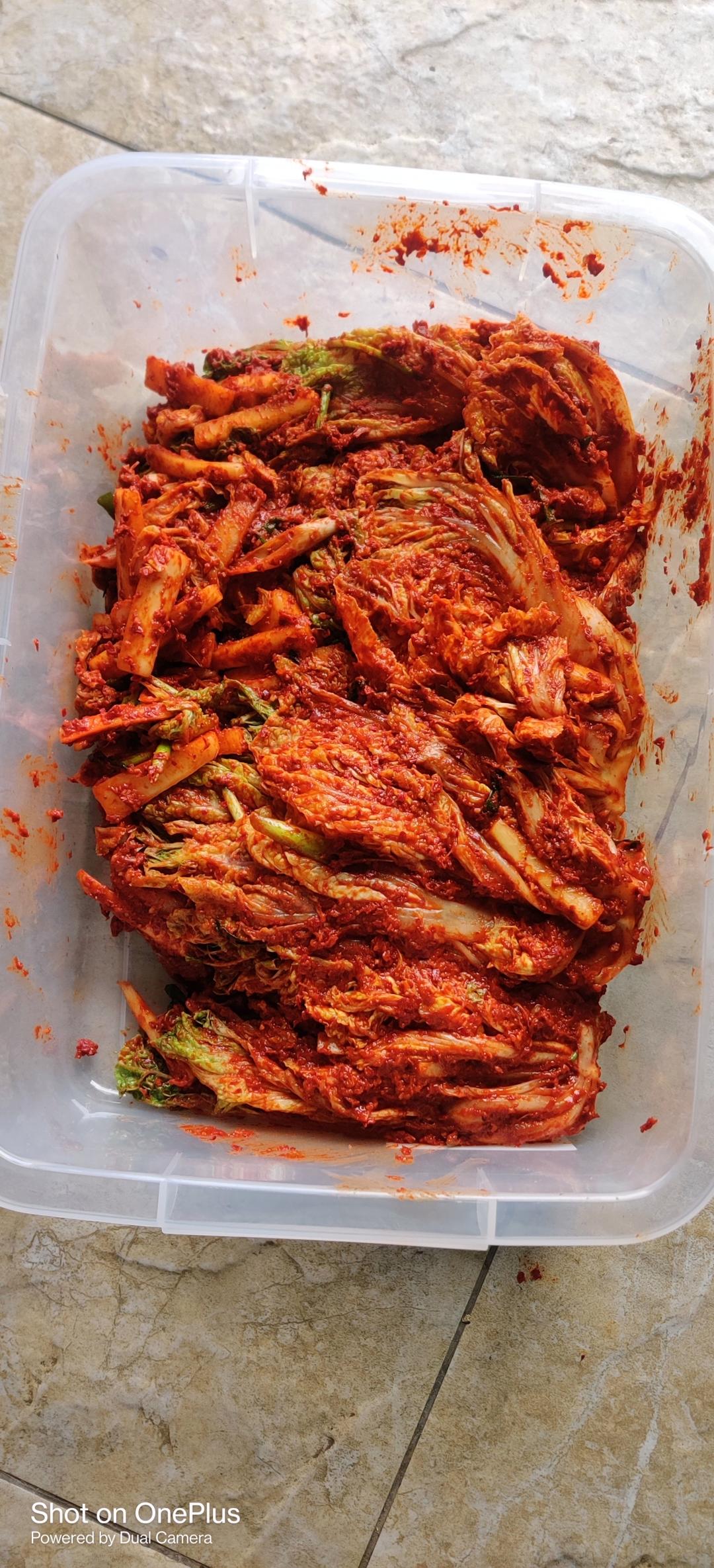 韩国老师亲授韩国泡菜