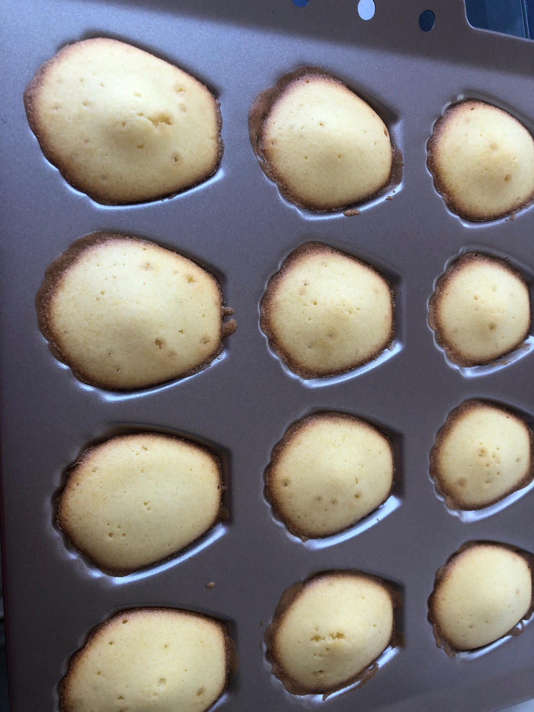 经典原味玛德琳蛋糕