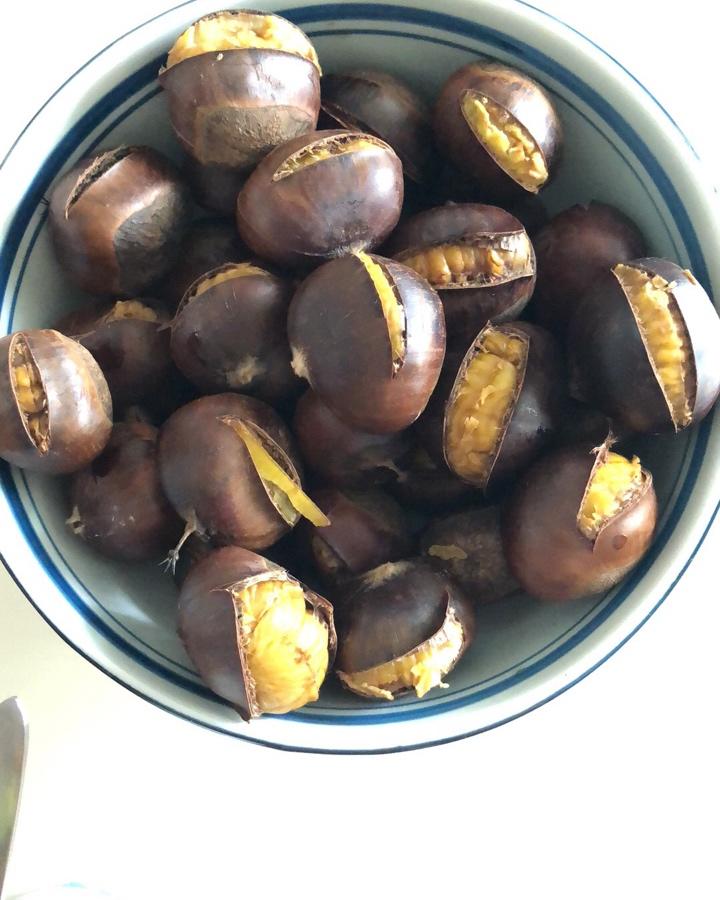 song2017做的水煮小栗子(开花咯～)