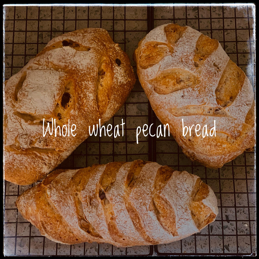 天然酵母（鲁邦种）法式红酒桂圆