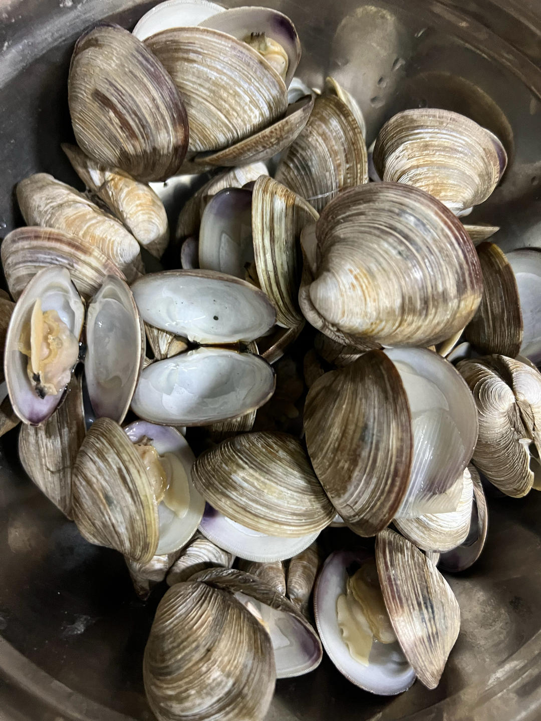 简单粗暴白灼新鲜美贝，平民海鲜！附去沙妙招～