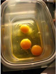 火腿生菜鸡蛋卷的做法 步骤1