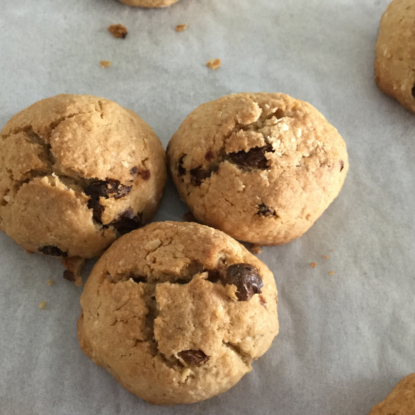 蔓越莓椰子曲奇 Cranberry & Coconut Cookies