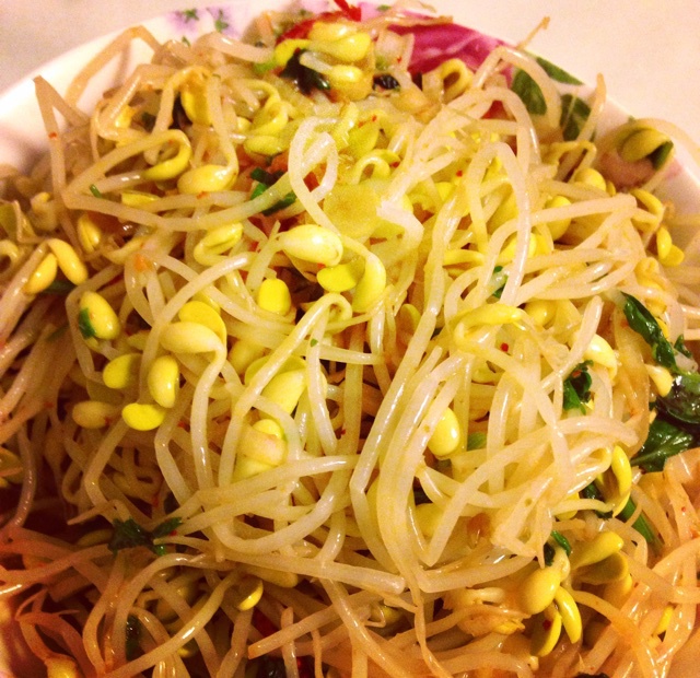 一只树做的韩式凉拌豆芽