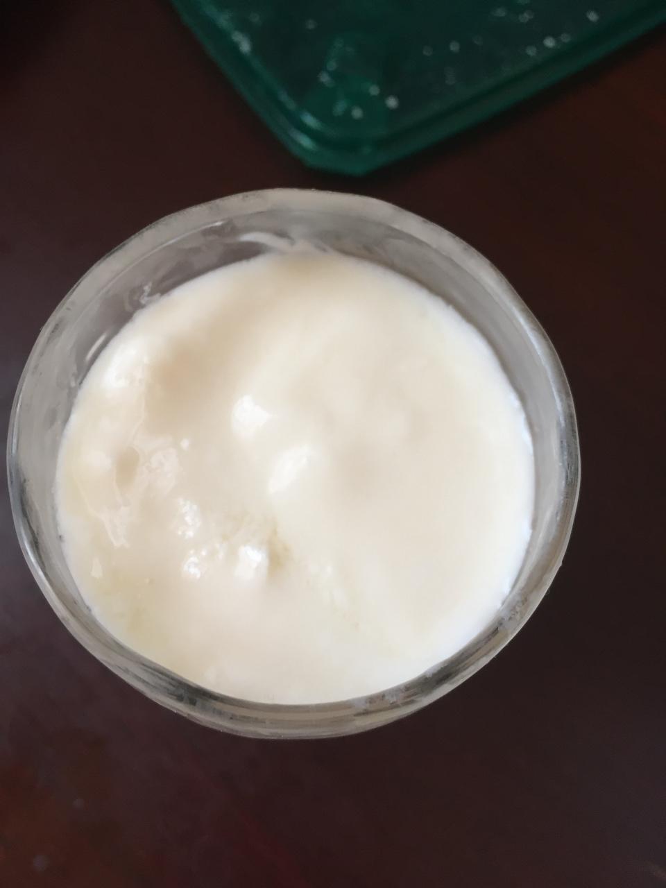 星晨314做的自制酸奶