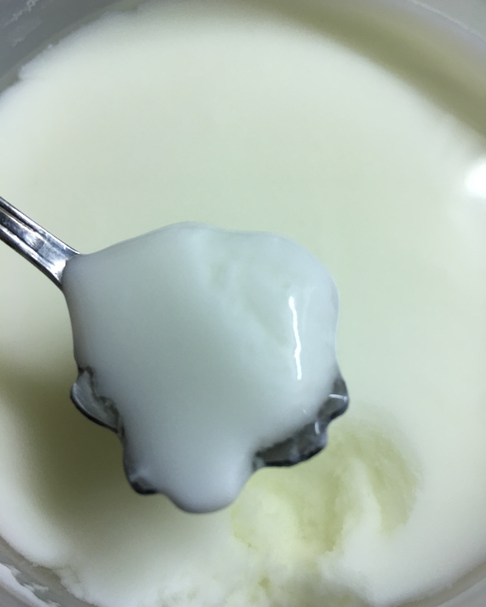 脱脂奶粉做酸奶(养生壶版)