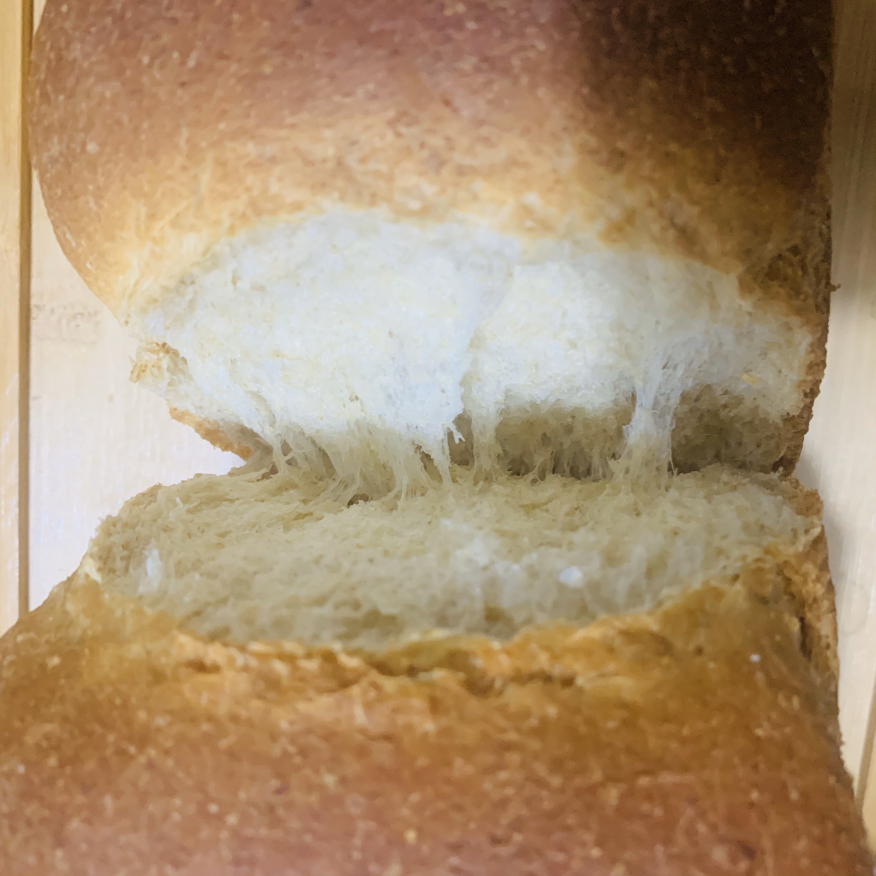 全麦燕麦吐司面包（一次发酵不过夜）的做法 步骤12