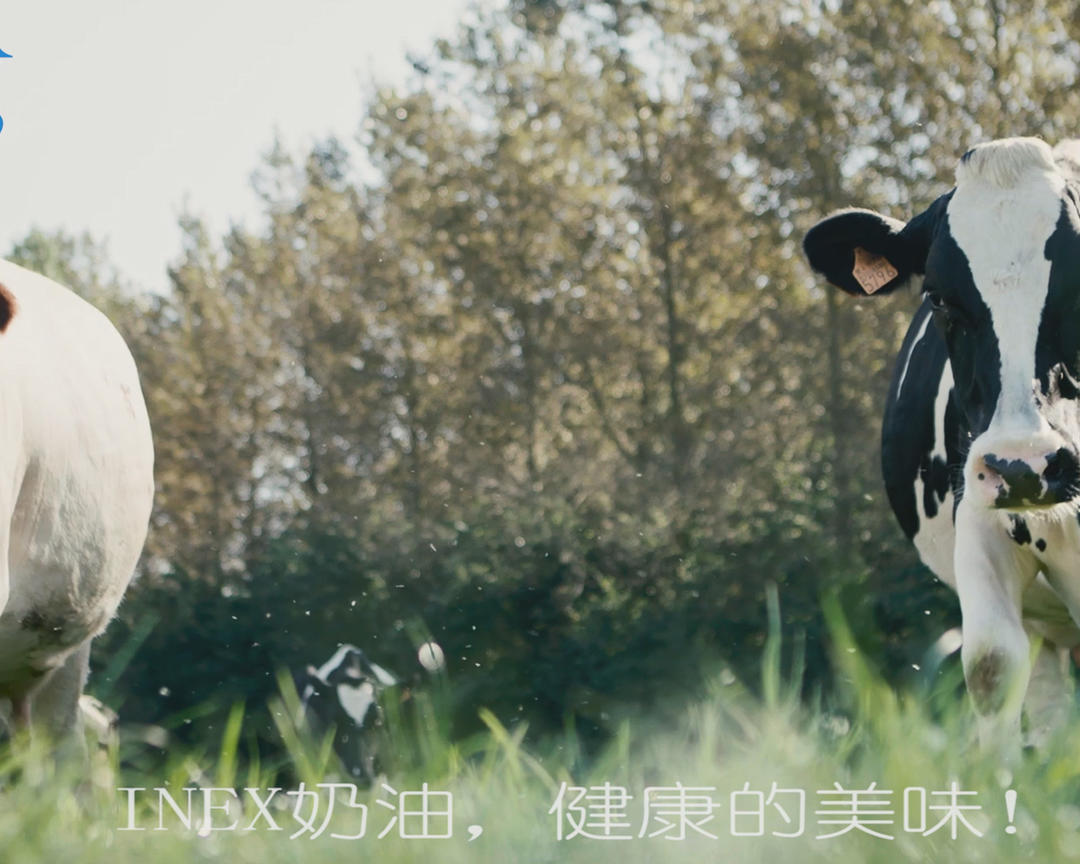 INEX 溢美奶油