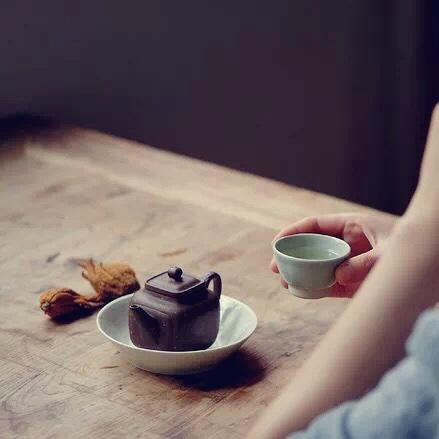 它山茶舍