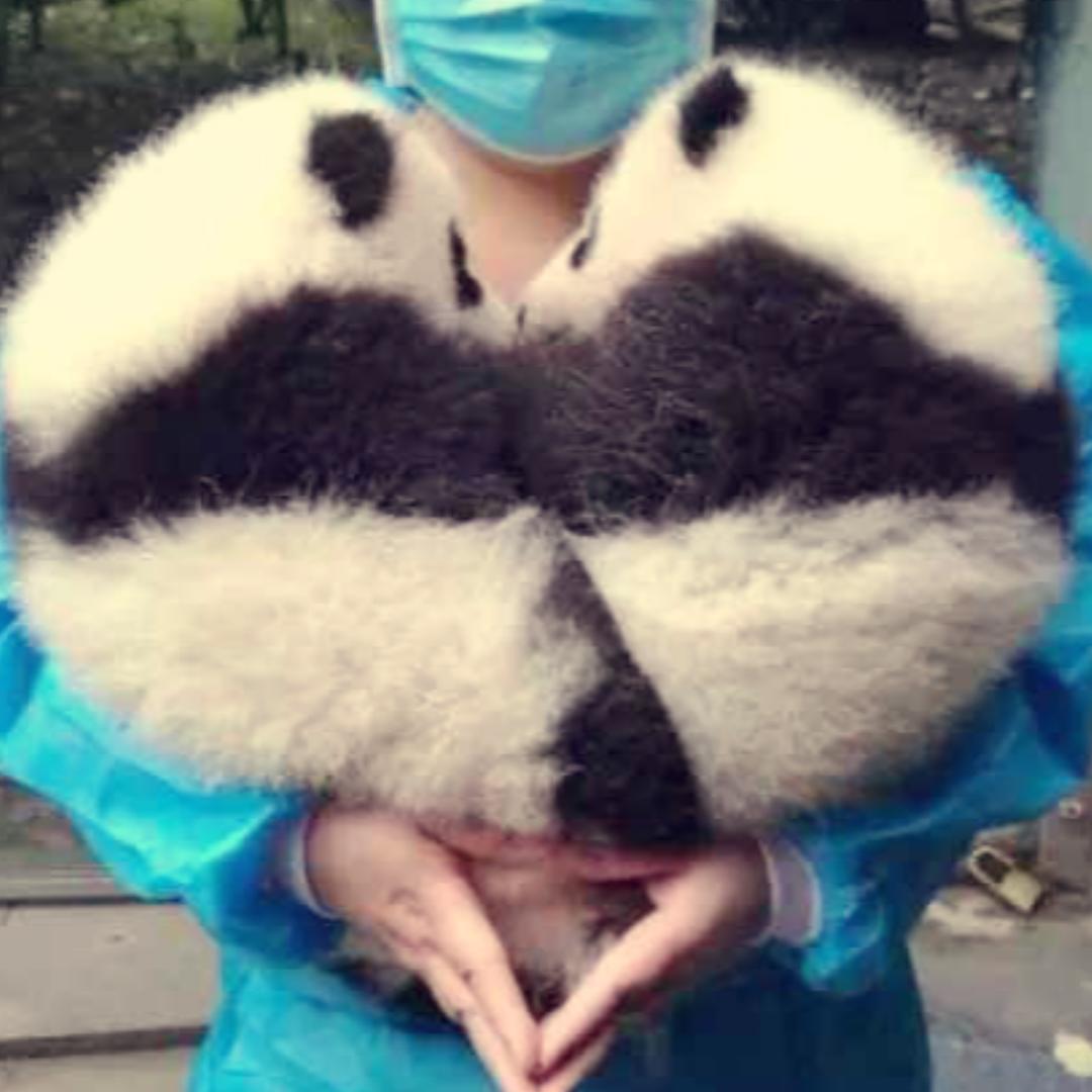 野渡无人舟自横v