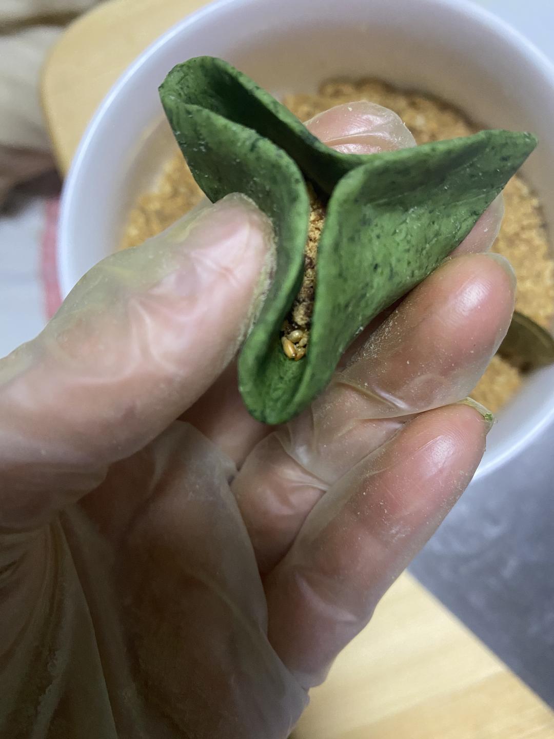 最好吃最正宗的清明果做法的做法 步骤8