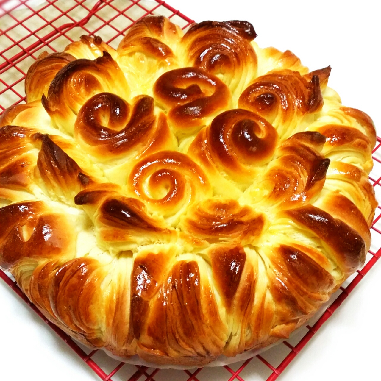 花苞---花式面包