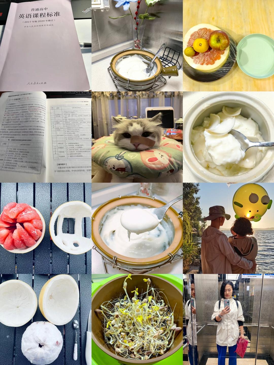 小猪佩奇中狗爷爷的番茄沙拉菜谱