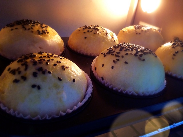 软绵绵夹馅酸奶小面包（松下面包机版）