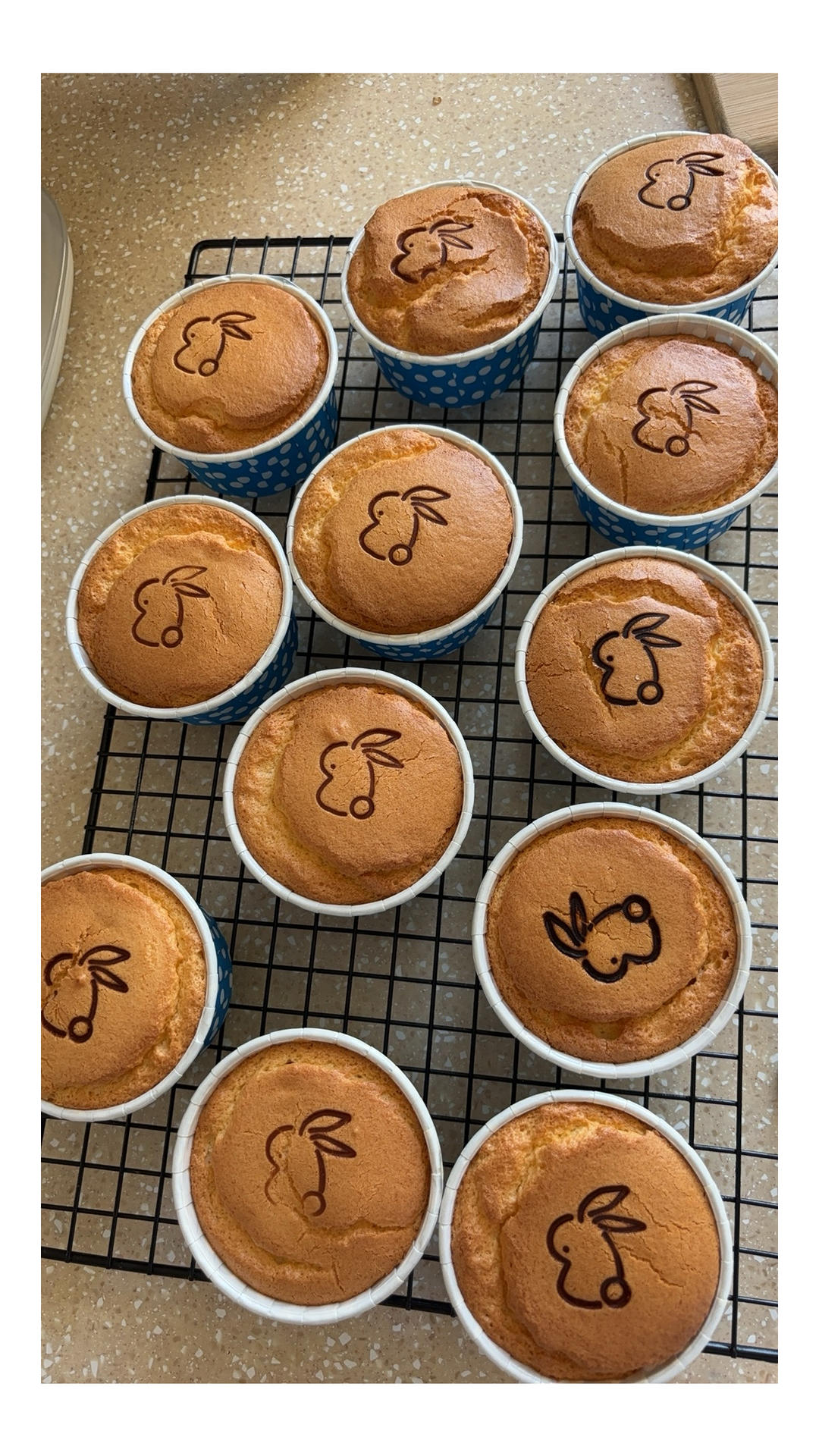 酸奶纸杯小蛋糕