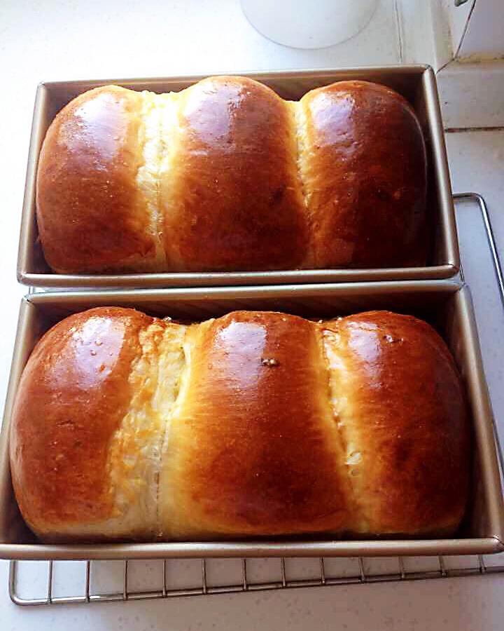 面包--手工牛奶吐司面包烤箱首页登录作品动态菜单查看全部分类羊排9