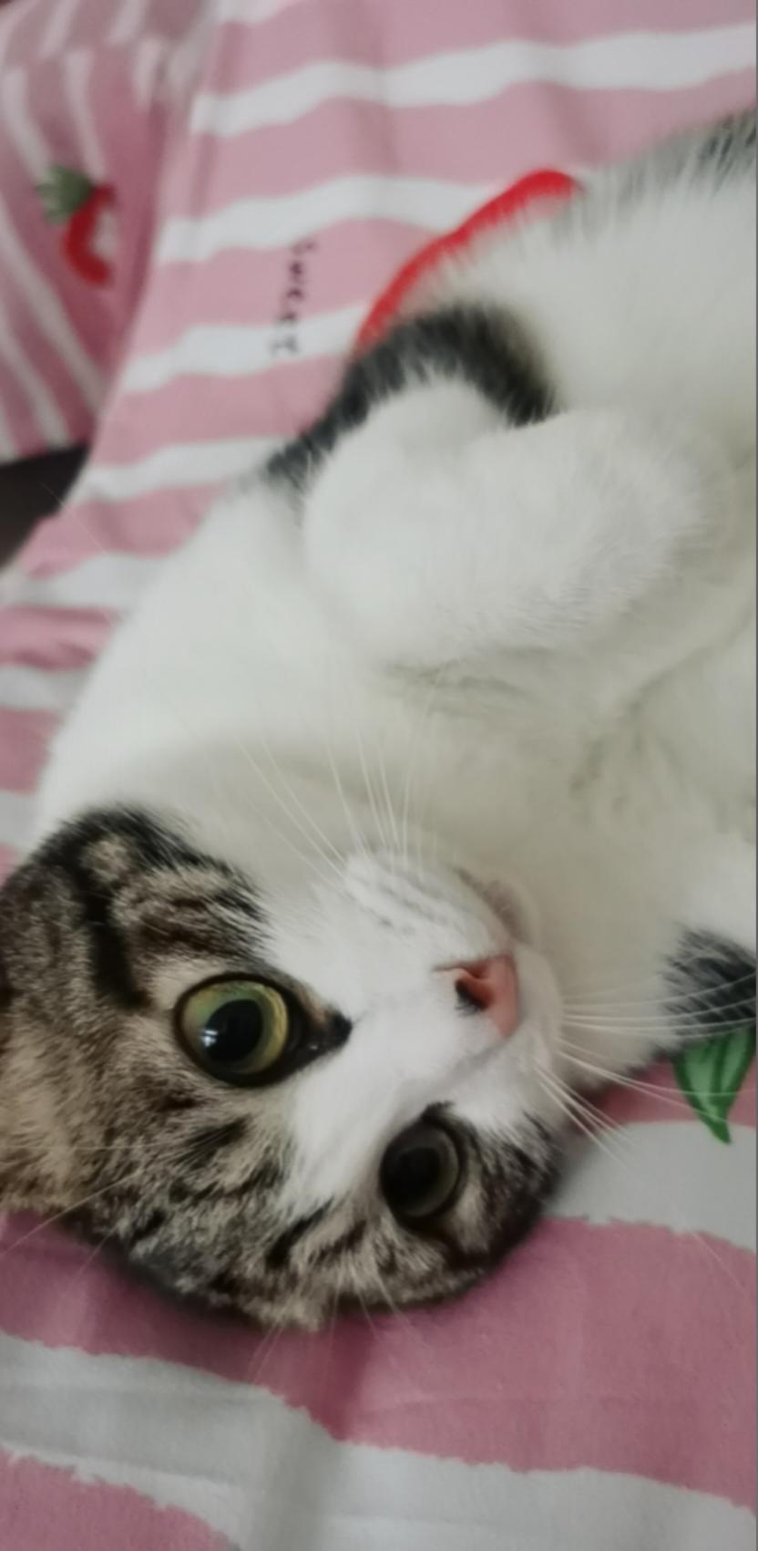 小明要你好好吃饭