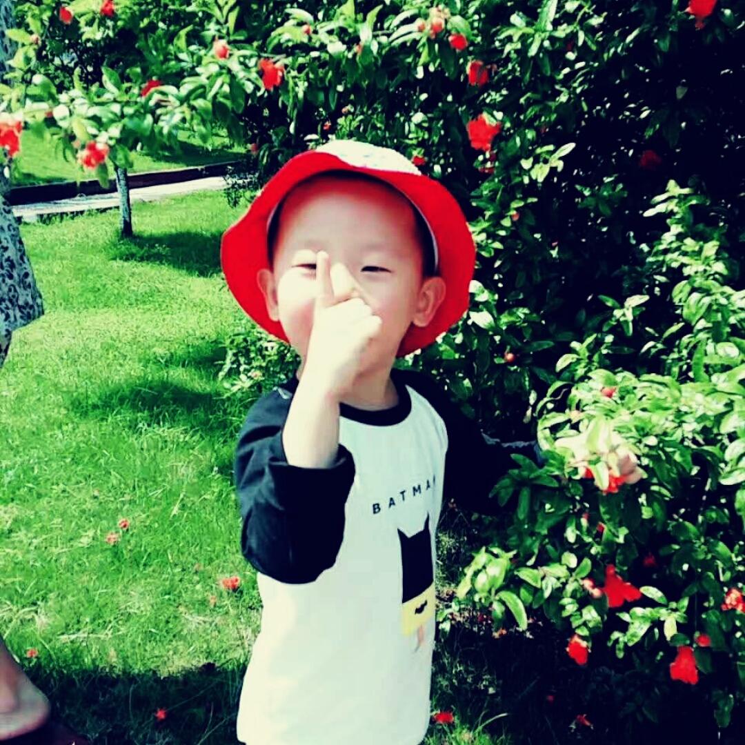 ze你是猴子请来的救兵吗