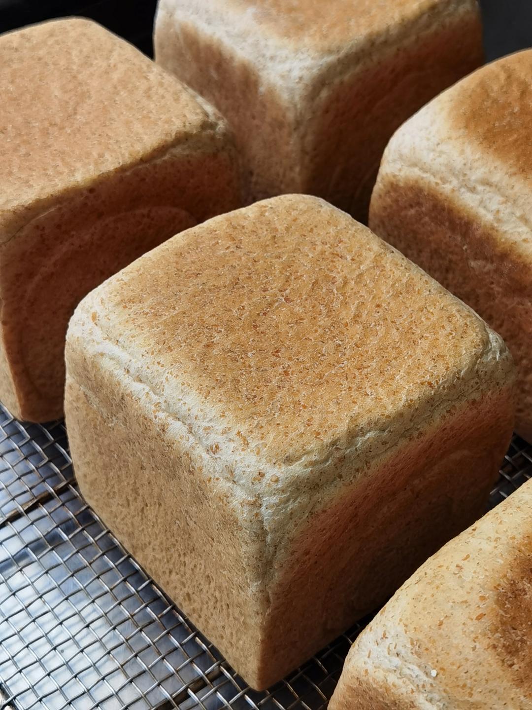 波兰种全麦吐司