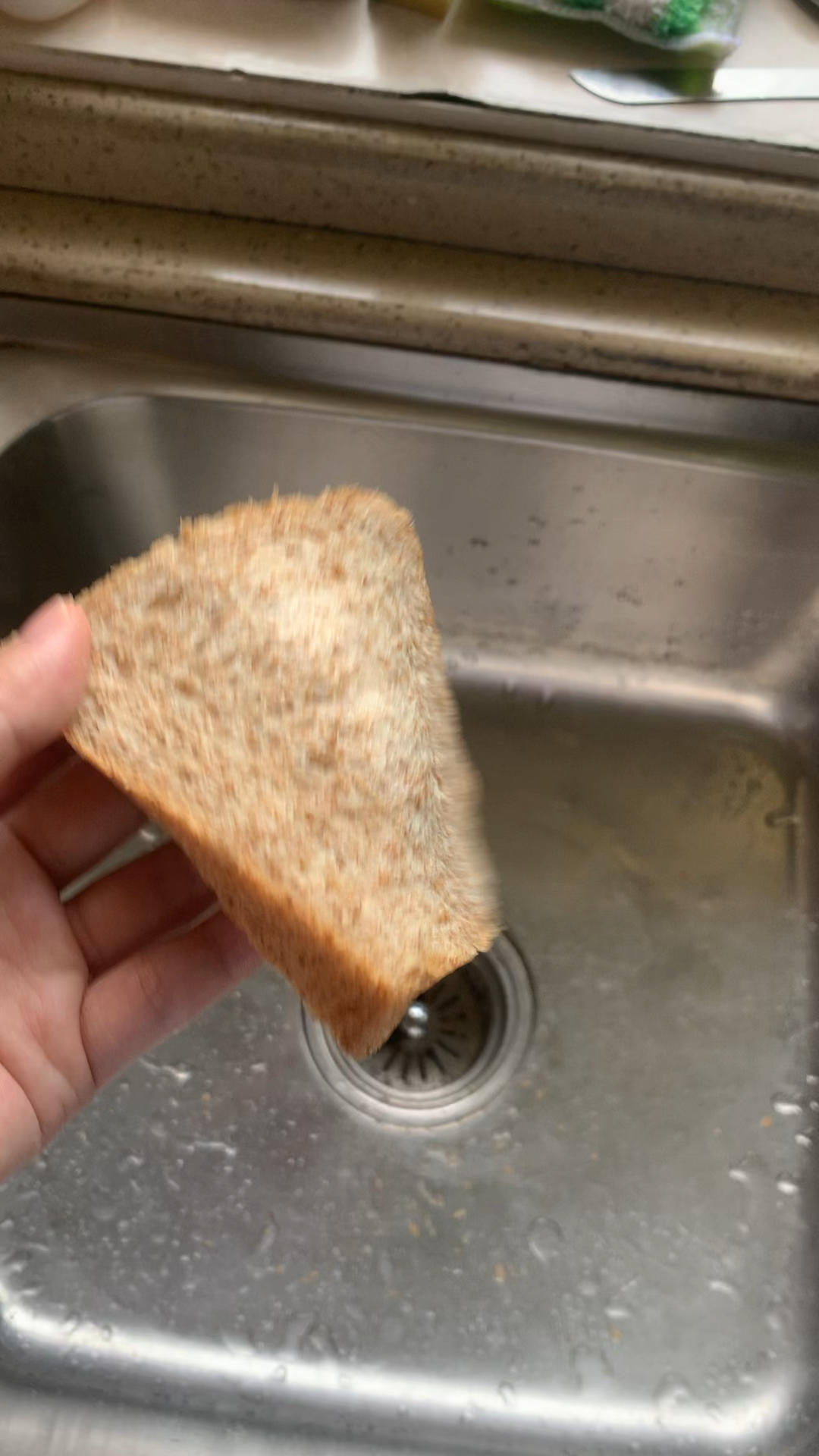 【有奖跟做】70%全麦吐司🍞（烫种➕波兰种）