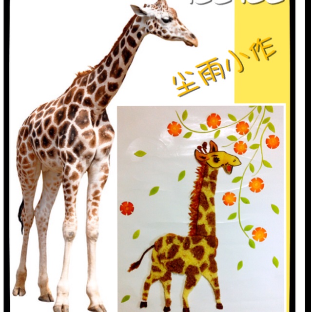 长颈鹿斑纹吐司