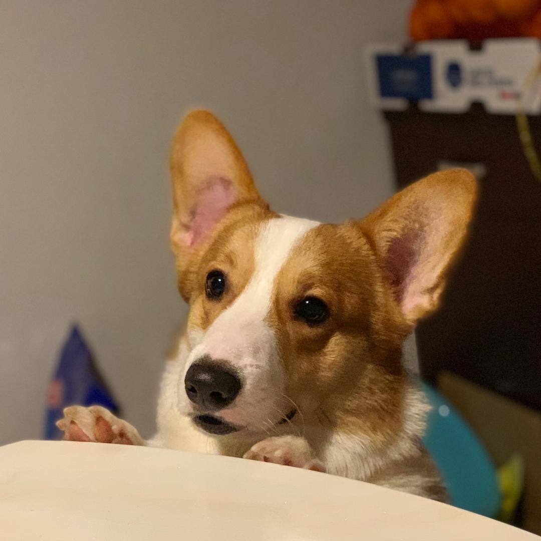 柒味的大厨小厨