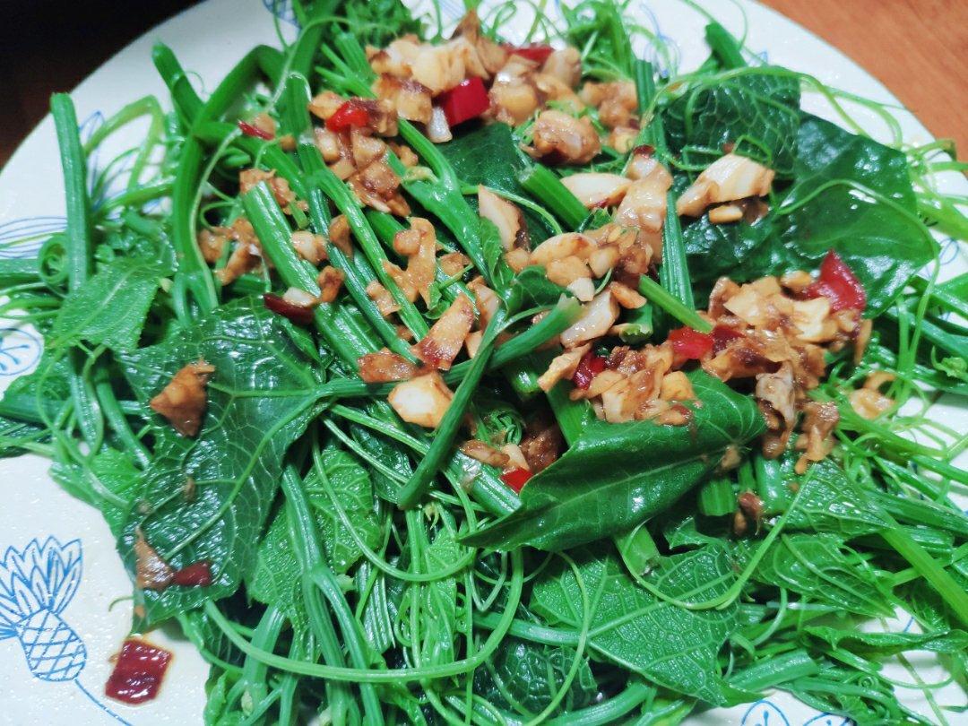 凉拌龙须菜