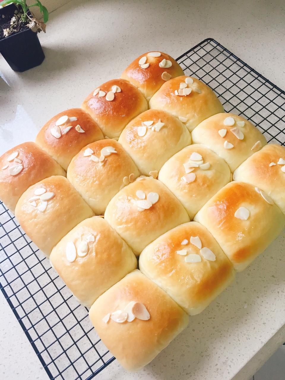 养乐多奶油小面包