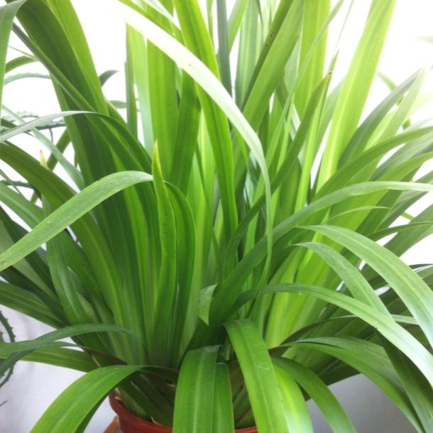 ~  记录瞬间的美  ~