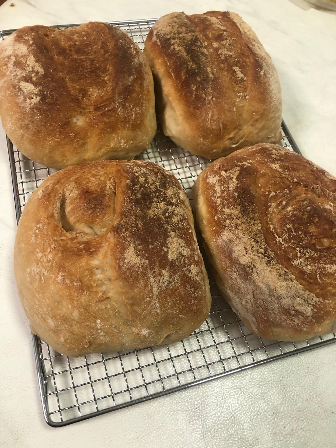 3.5小时快速直接法欧包丨免揉免机打免酵种