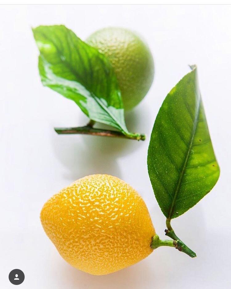 Cedric Grolet仿真柠檬