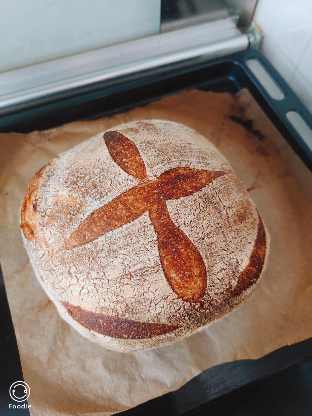 基础欧包 天然酵母的力量