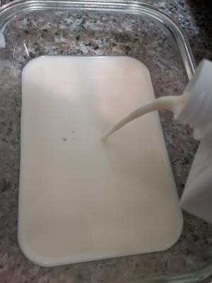 椰奶冻（淀粉版）的做法 步骤3