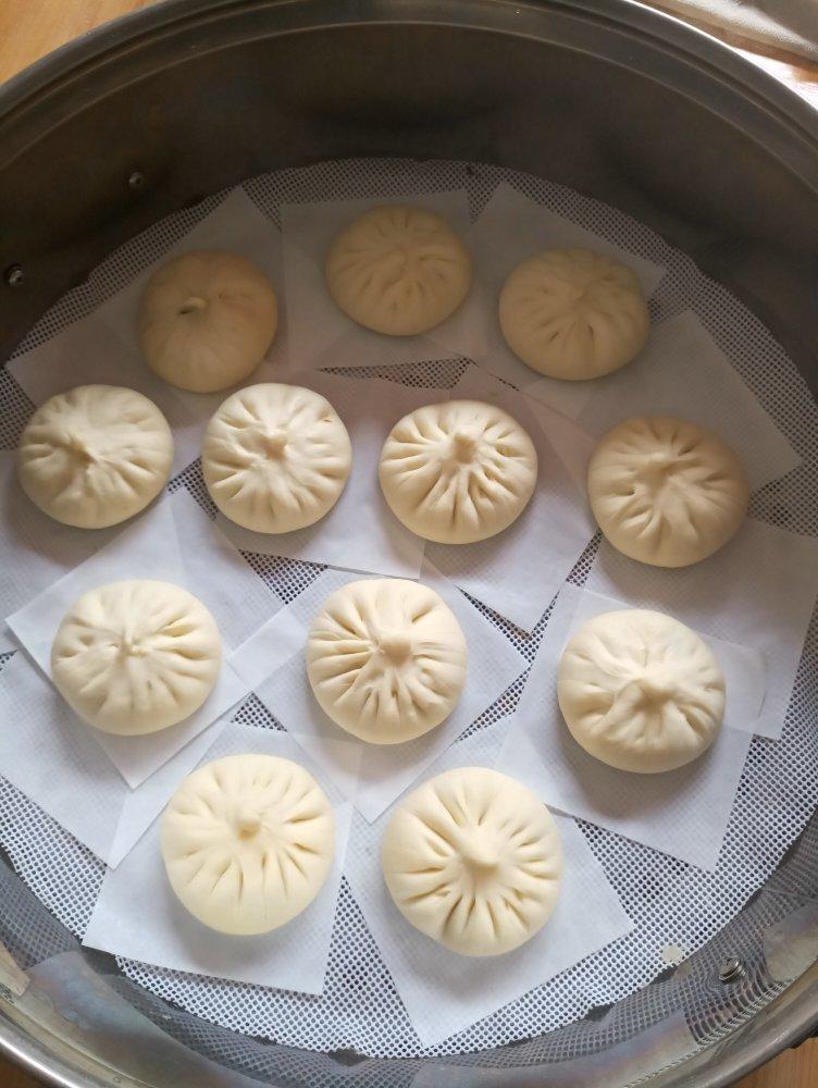 一次发酵肉包子