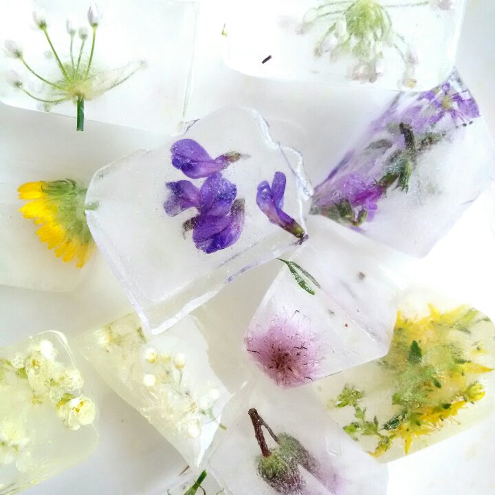 一秒高颜值 15种高颜值冰块冻起来